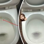 Et produkt gør din toiletkumme skinnende hvid: Sådan får du bugt med plak og snavs på 15 minutter Et produkt gør din toiletkumme skinnende hvid: Sådan får du