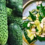 Hvad sker der, hvis du spiser agurker hver dag: 7 "mirakel"-egenskaber er blevet navngivet Hvad sker der, hvis du spiser agurker hver dag: 7