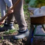 Såkalender for september 2025: Hvad skal man gøre i haven